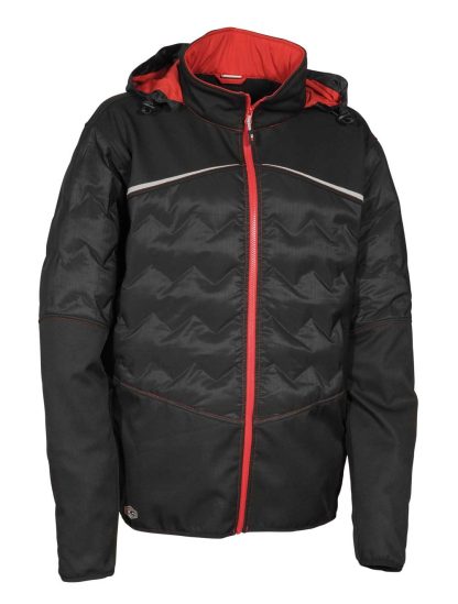 Poligus Winter Soft Shell Jacket - V377 Cofra